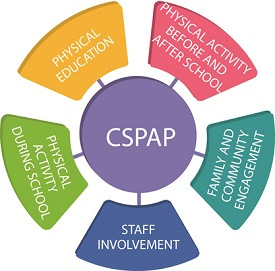 Comprehensive School Physical Activity Program