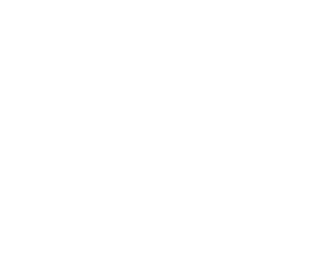 Library Icon