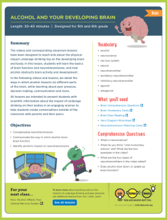 Responsibility.org Alcohol and your Brain Lesson Plan